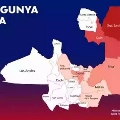 Crecen los contagios de chikungnya en el norte provincial
