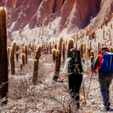 Ponen en funcionamiento la plataforma Senderos de Salta