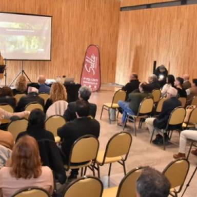 Innovación y tradición marcan la vitivinicultura salteña