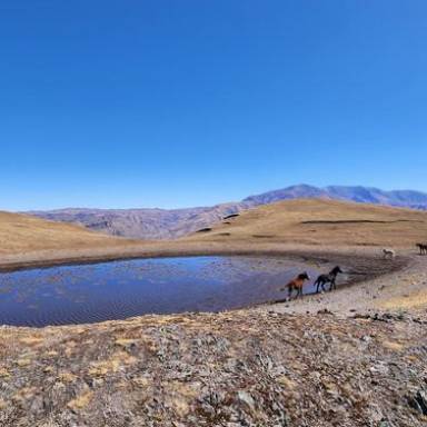 El silencio de la altura: Laguna Brava de Escoipe