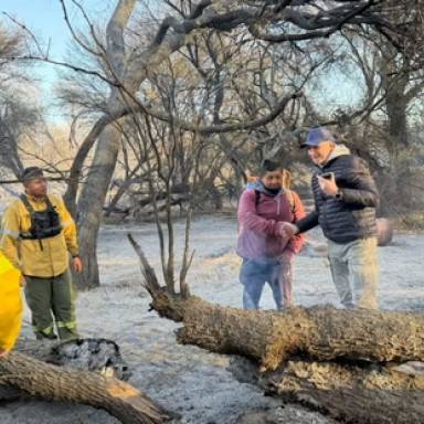 Cafayate: más de 200 hectáreas afectadas