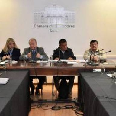 Protección animal en debate