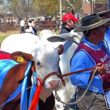 La Expo Rural en su tramo final