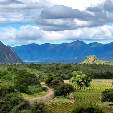 Valle del Cóndor, el santuario escondido de Salta
