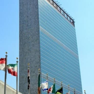La pedagogía del cinismo