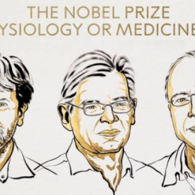 Nobel de Medicina para Karl Deisseroth, Peter Hegemann y Georg Nagel