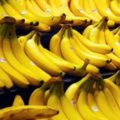 Sanción definitiva al marco de protección fitosanitaria
