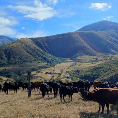 Potrero de Díaz: el secreto mejor guardado de la geografía salteña