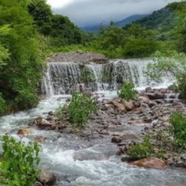 Controles para proteger una cuenca en Finca Las Costas