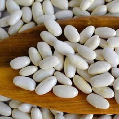 Alimento terapéutico  para combatir la desnutrición