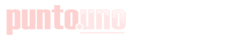 Diario Punto Uno